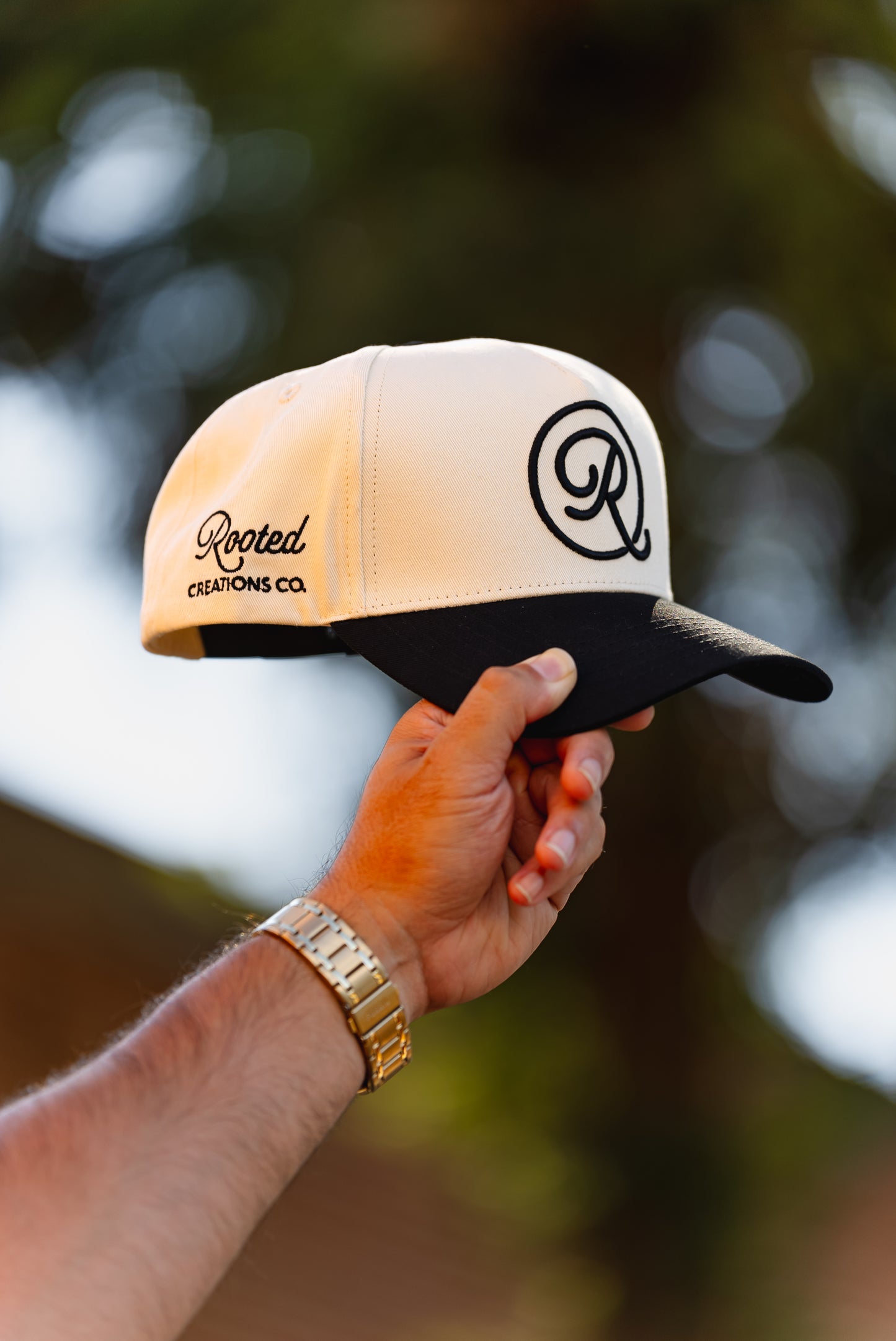 Icon Ball Cap